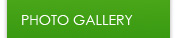 Photo Gallery